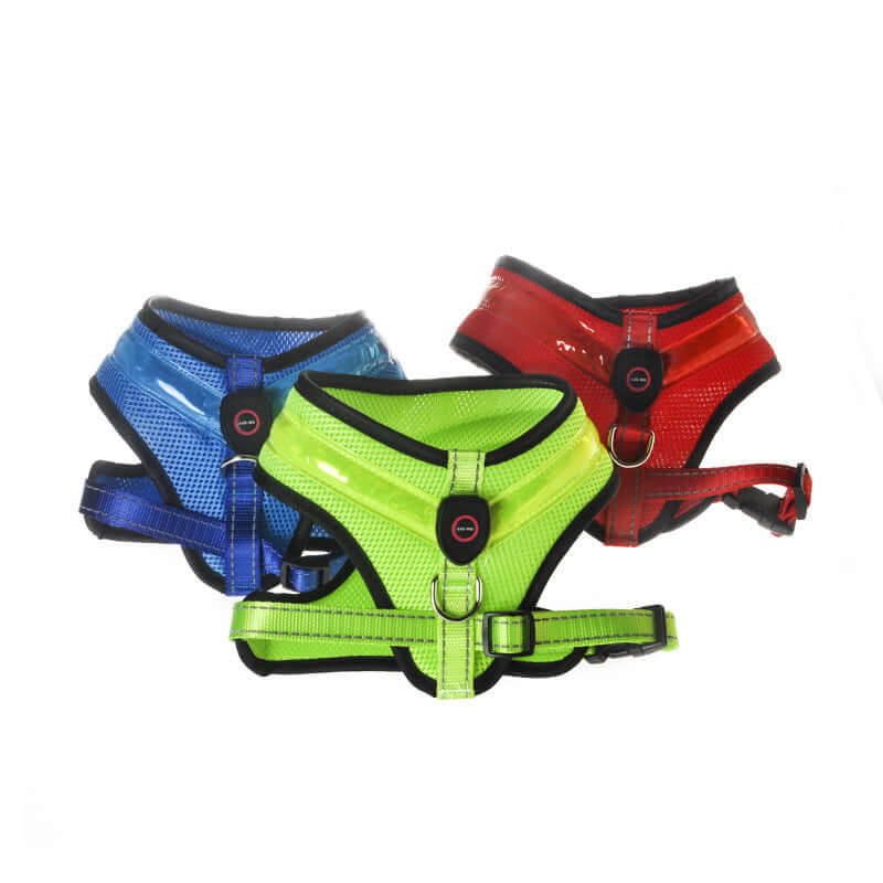 Harnais LED lumineux pour chien en bleu, vert et rouge, rechargeable par USB, parfait pour la sécurité nocturne.
