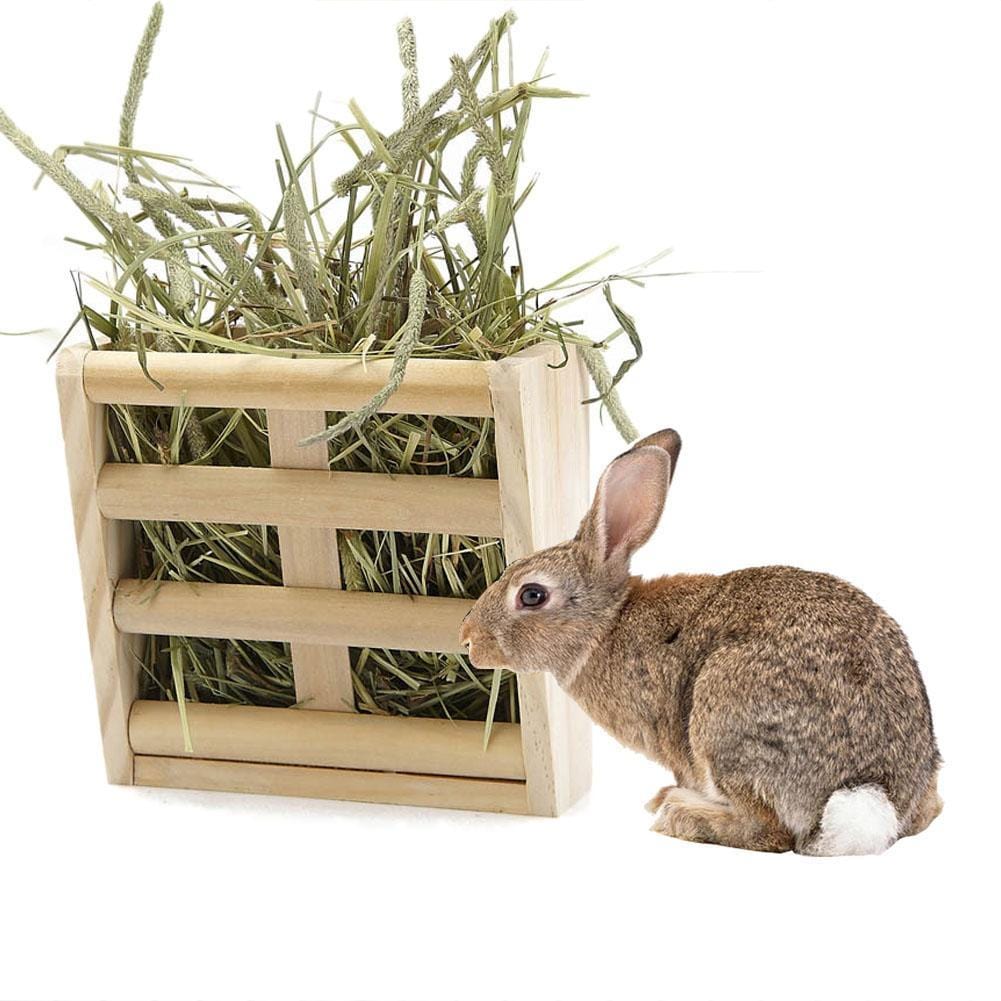 Râtelier en Bois et Boîte à Nourriture pour Lapin et Chinchilla