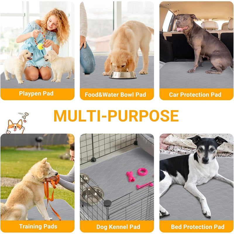Tapis Lavable pour Chiens - Absorption Premium et Anti-Odeur