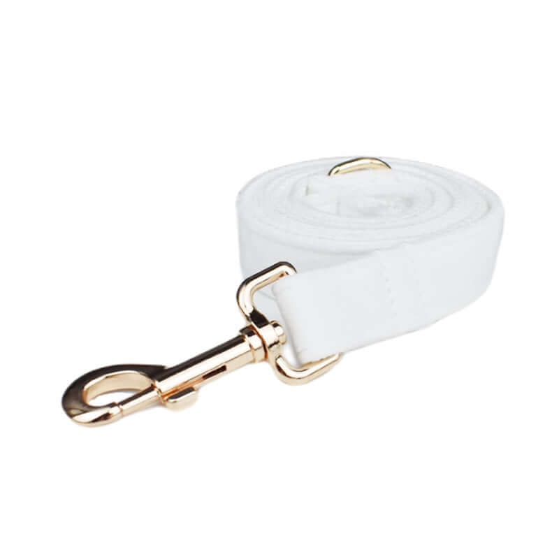Laisse pour chien en velours blanc avec fermoir doré, idéale pour les promenades élégantes.