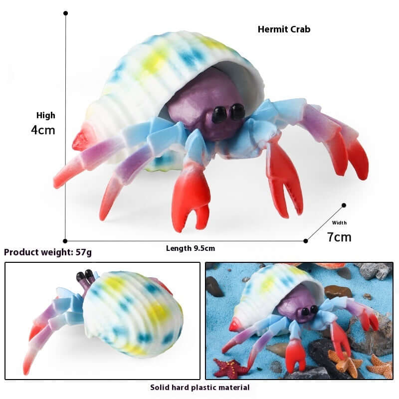 Modèle de crabe ermite coloré en plastique, jouet éducatif marin, taille 4cm x 7cm, à utiliser pour le jeu et l'apprentissage.