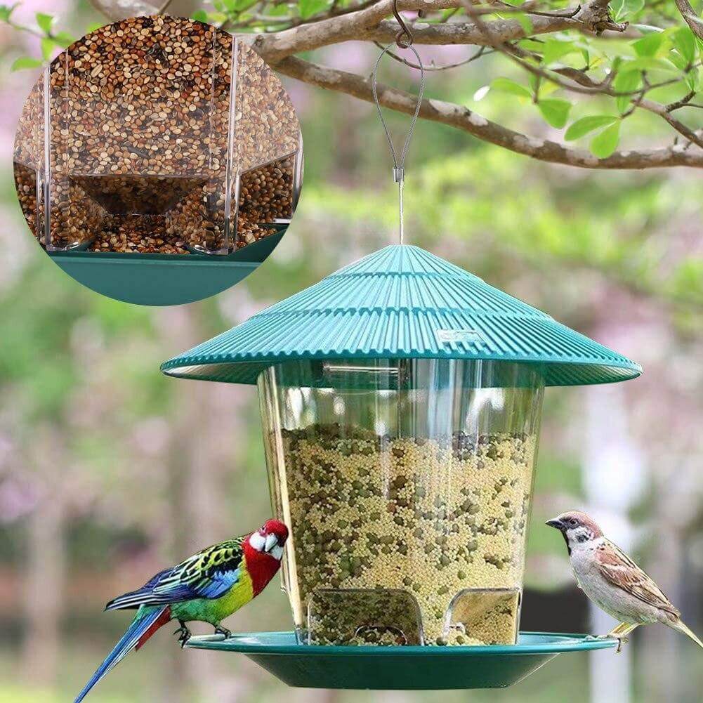 Mangeoire transparente suspendue pour oiseaux avec système d'alimentation automatique, vue sur oiseaux colorés dans le jardin.