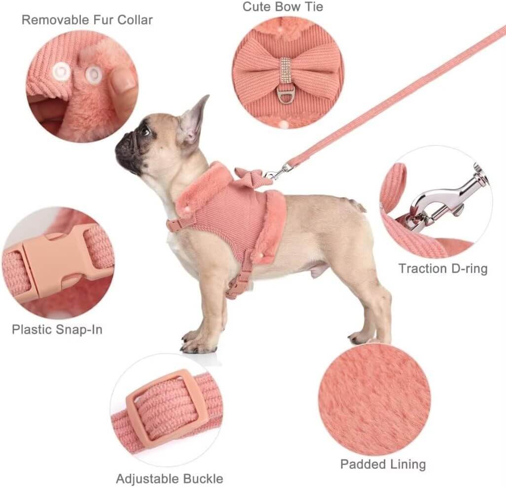 Harnais et laisse chouette pour chien avec nœud papillon, composé de col en fourrure et rembourrage doux.