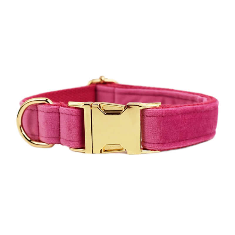 Collier en velours pour chien rose avec boucle dorée élégante et confortable pour les promenades.