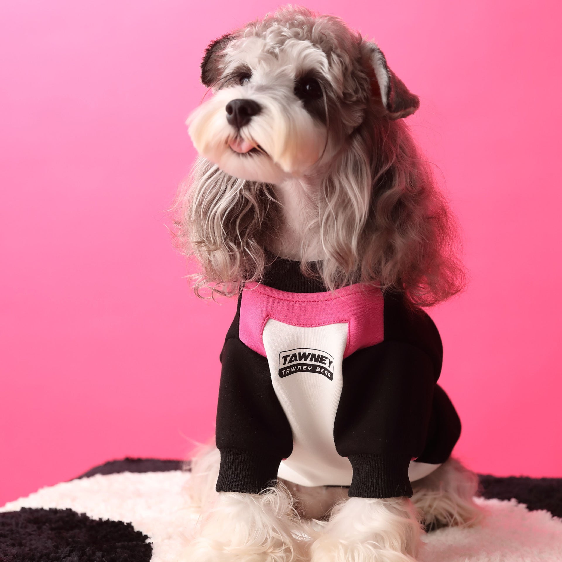Chien portant un pull zippé en coton noir et rose, sur fond rose, avec des caractéristiques élégantes et confortables.