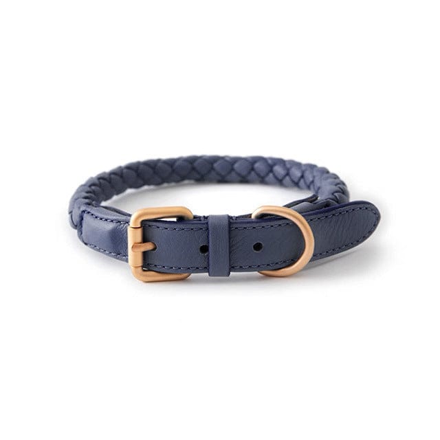 Collier en cuir tressé de qualité supérieure pour grands chiens, couleur bleu avec fermetures en métal.