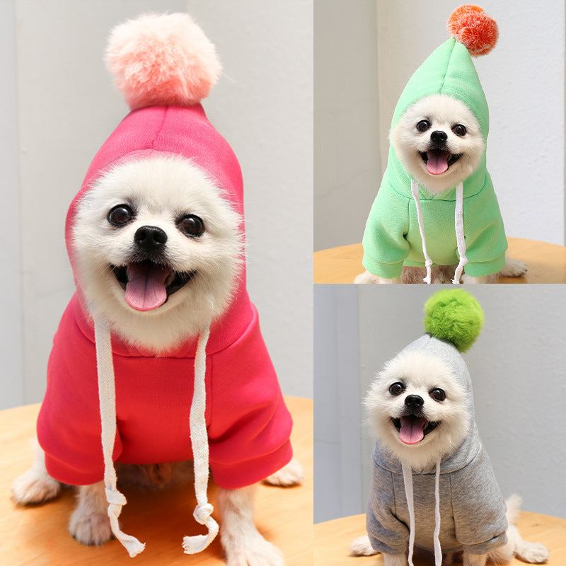 Pull automnal coloré pour chiens, disponible en rose rouge, vert fruité et gris, conçu pour le confort et la chaleur.