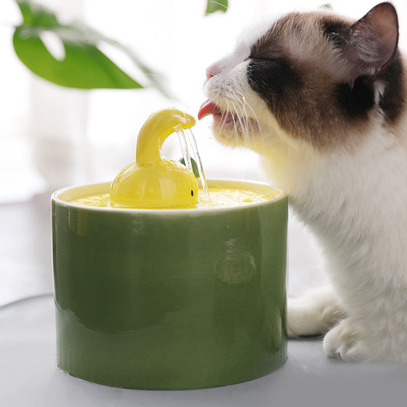 Chat buvant à une fontaine à eau verte en forme de lapin avec jet d'eau, accessoire pour animaux
