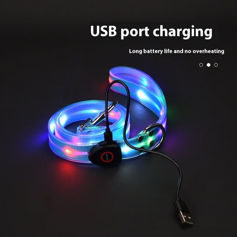 Laisse LED pour animaux, rechargeable par USB, offrant sécurité et visibilité la nuit.