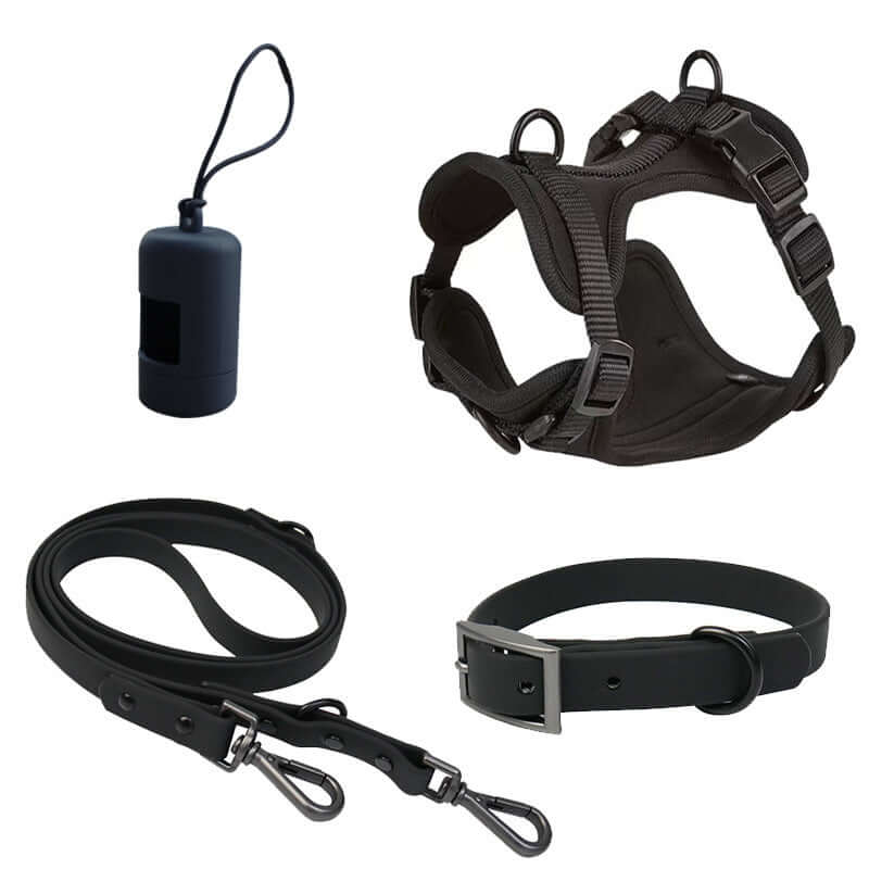 Ensemble de harnais à poitrine en PVC avec laisse et collier pour chien, accessoires pour animaux.