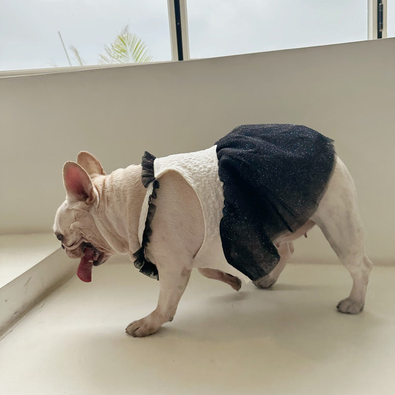 Robe Aéro Bull pour Chien Pomeranien