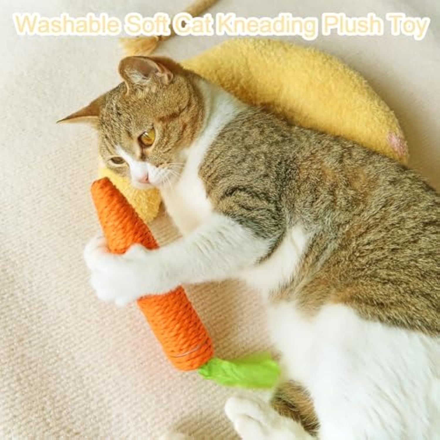 Coussin Doux pour Chats - Idéal pour le Sommeil et la Détente