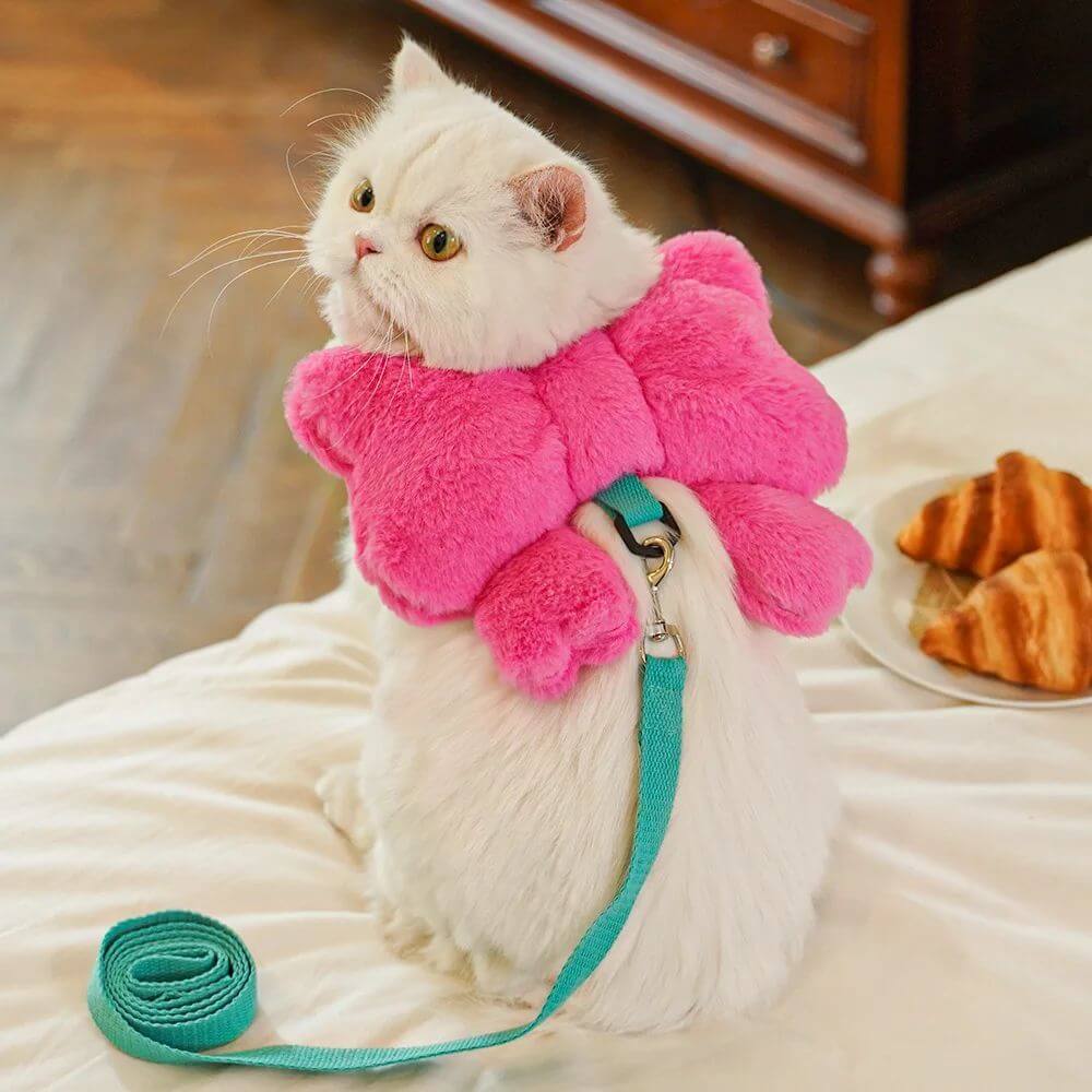 Chat portant un harnais rose en peluche avec une laisse turquoise, assis sur un lit à côté de pâtisseries.