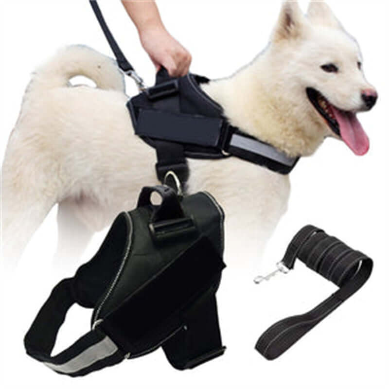 Harnais pour chien avec laisse réfléchissante sur un chien blanc, conçu pour sécurité et confort lors des promenades.