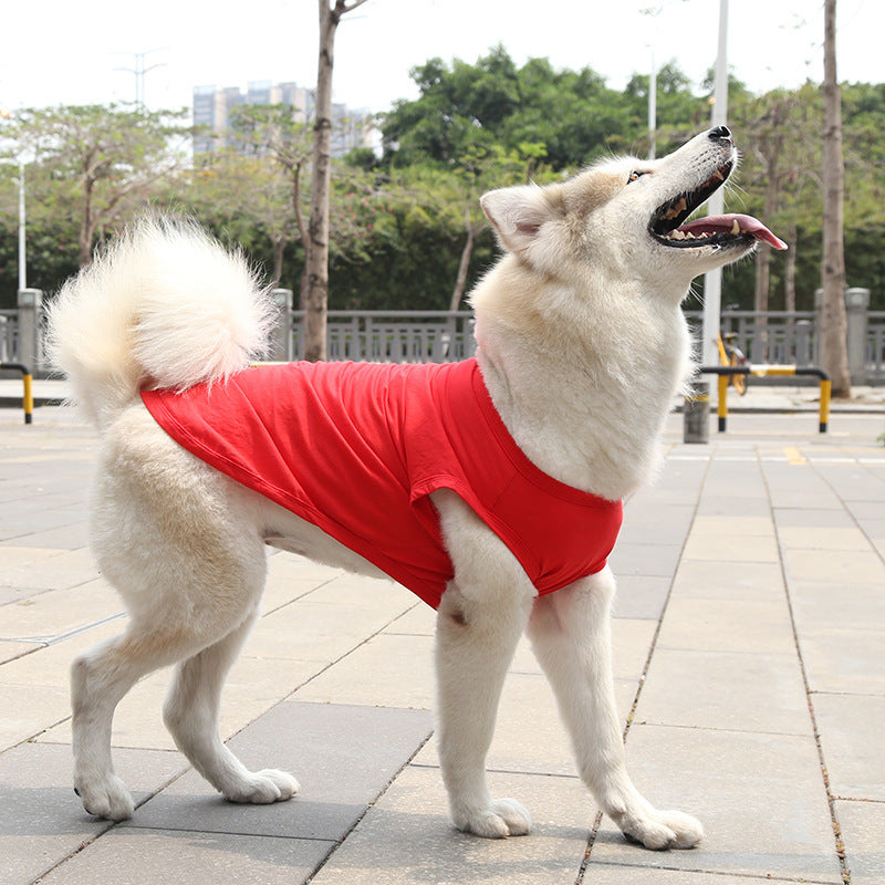 Chien en gilet en coton rouge, idéal pour l'été, offrant confort et style durant les journées chaudes.