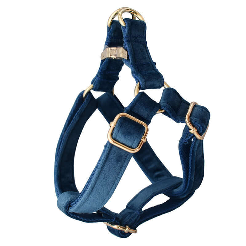 Harnais en flanelle bleu avec boucle dorée pour chien, offrant confort et style lors des promenades.