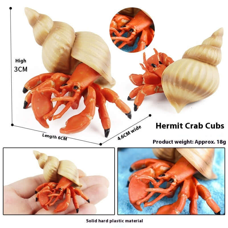 Modèle de crabe ermite en plastique, jouet éducatif de 6 cm, conçu pour l'interaction et le jeu avec les enfants.