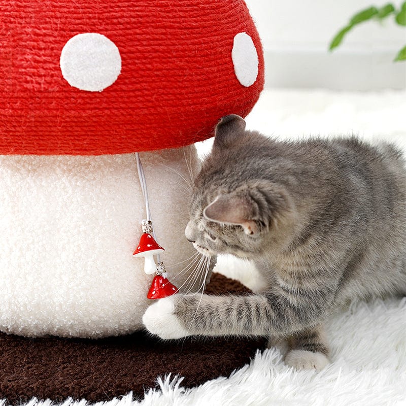 Chat jouant avec une planche à gratter champignon rouge en sisal, idéale pour griffades et jeu.