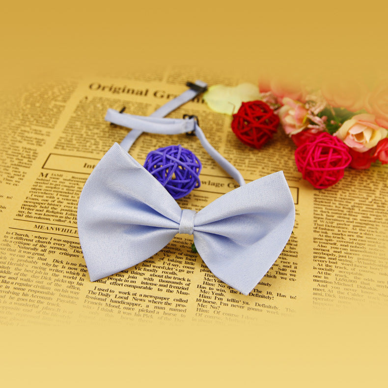 Collier pour animaux avec nœud en tissu bleu, accompagnée de balles colorées sur fond de journaux.