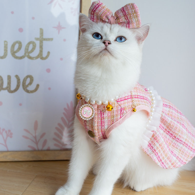 Chat mignon en jupe rose et coiffure assortie, prêt à faire tourner les têtes avec style.