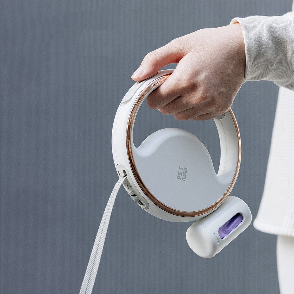 Laisse à chien rétractable avec éclairage automatique, conçue pour sécurité et confort lors des promenades nocturnes.