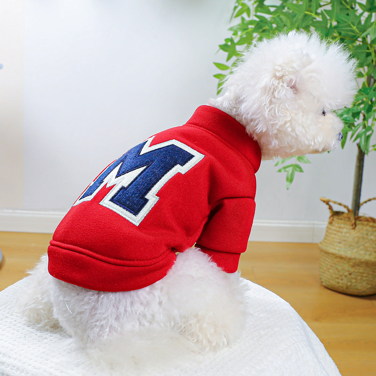 Hoodie pour chien Bichon Teddy rouge avec motif lettre M, parfait pour l'automne et l'hiver.