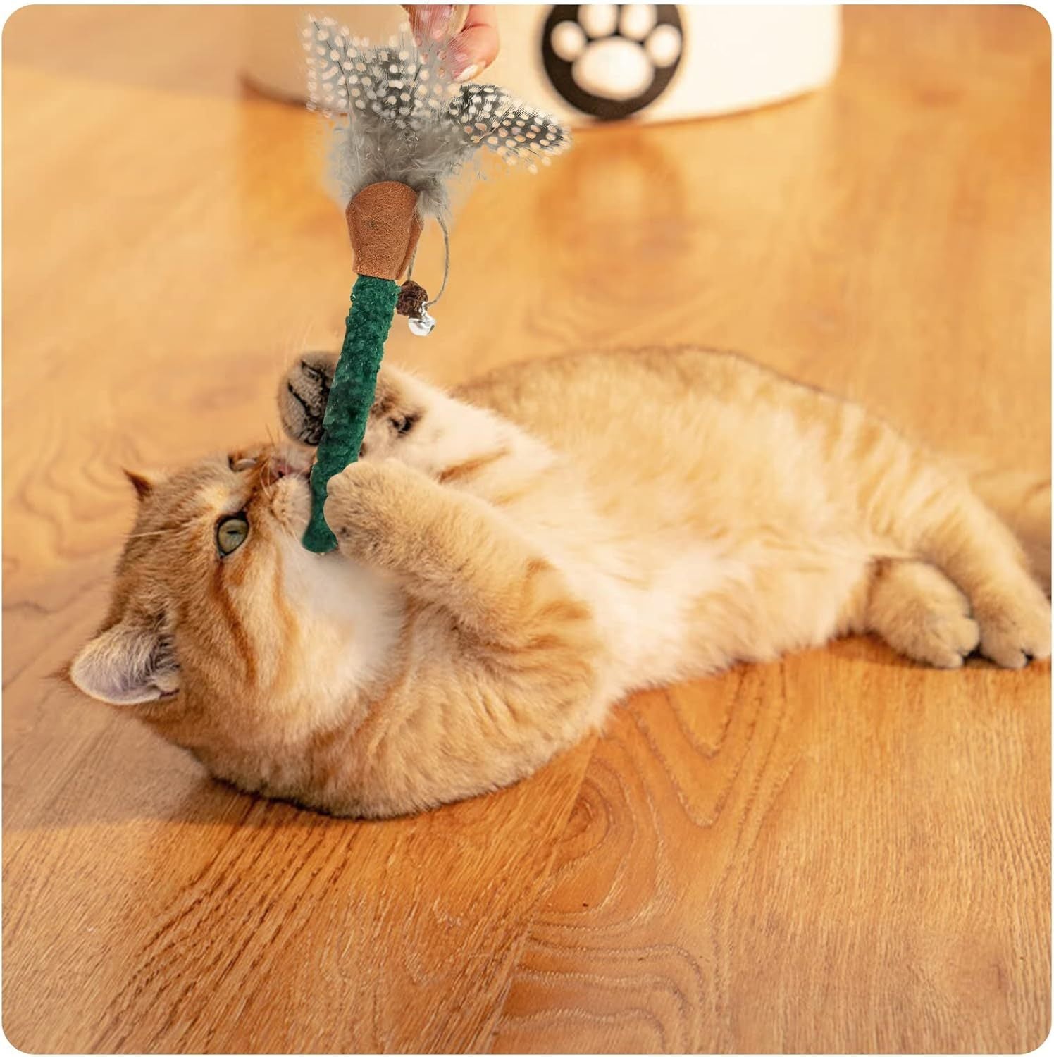 Bâtonnets à Mâcher pour Chats avec Plumes – Jouets Dentaires