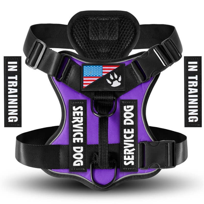 Harnais tactique pour chien en violet, étiquettes 'IN TRAINING', avec drapeau américain pour service animal.