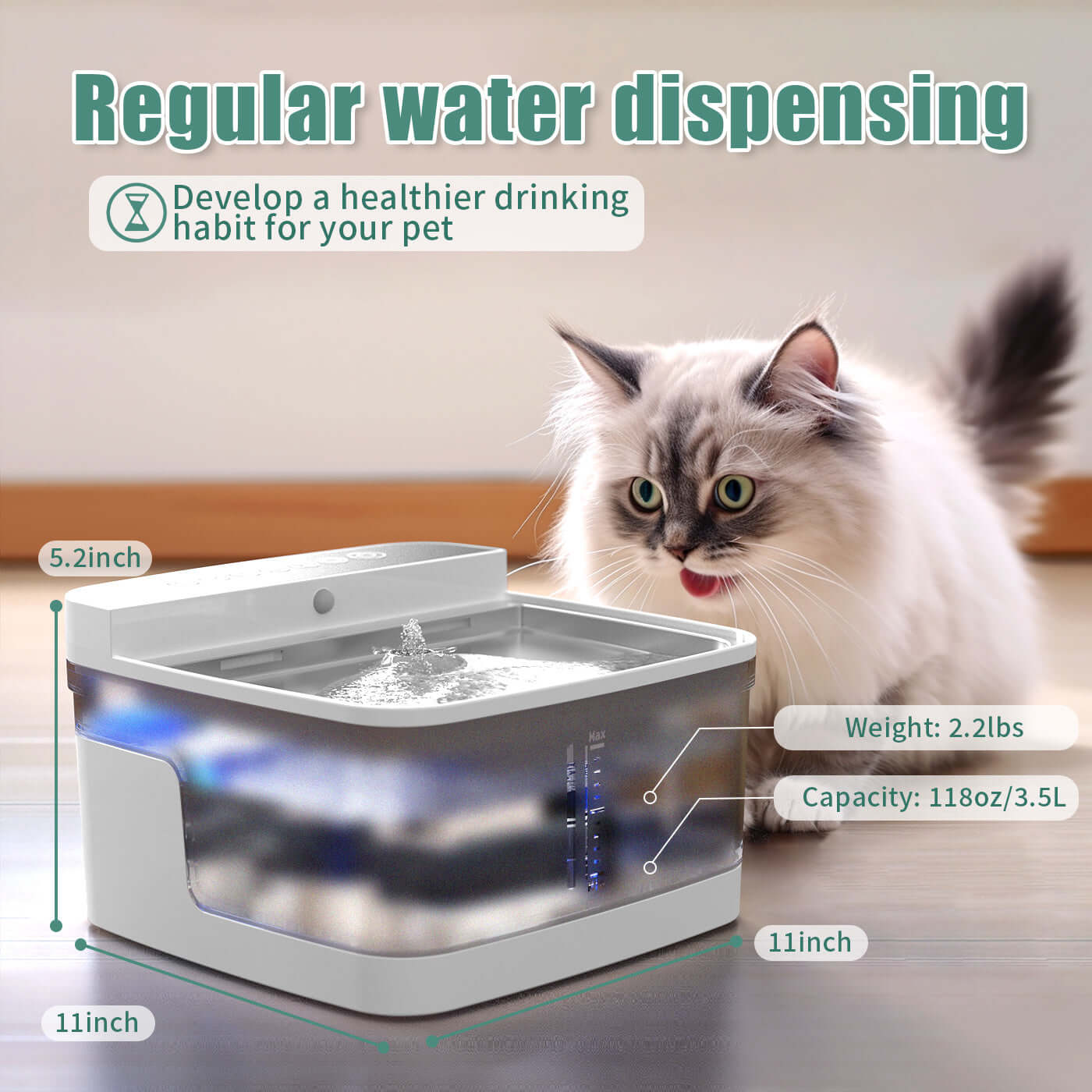 Distributeur d'eau pour animaux, encourageant une meilleure hydratation, adapté aux chiens et chats.