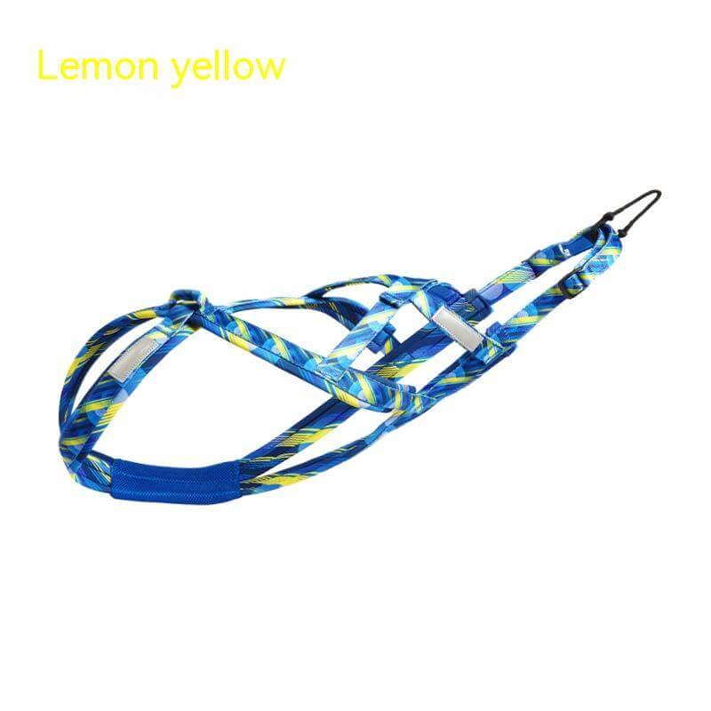 Harnais de traction pour chien en bleu et jaune, fabriqué en nylon durable pour le confort et la sécurité.