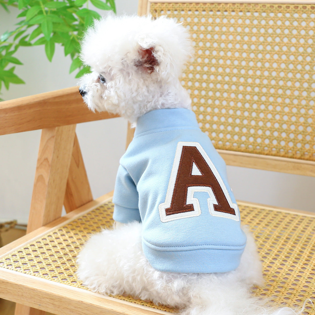 Hoodie pour chien Bichon Teddy en bleu avec lettre A, design décontracté pour l'automne et l'hiver.