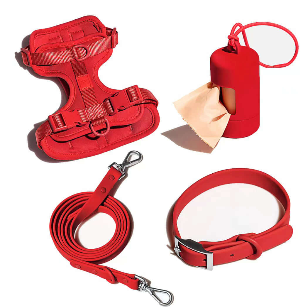 Ensemble de harnais rouge, laisse, collier et distributeur de sacs pour chien.