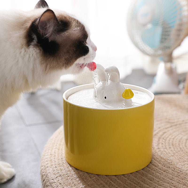 Chat buvant de l'eau dans une fontaine jaune en forme de lapin, accessoire pour animaux.