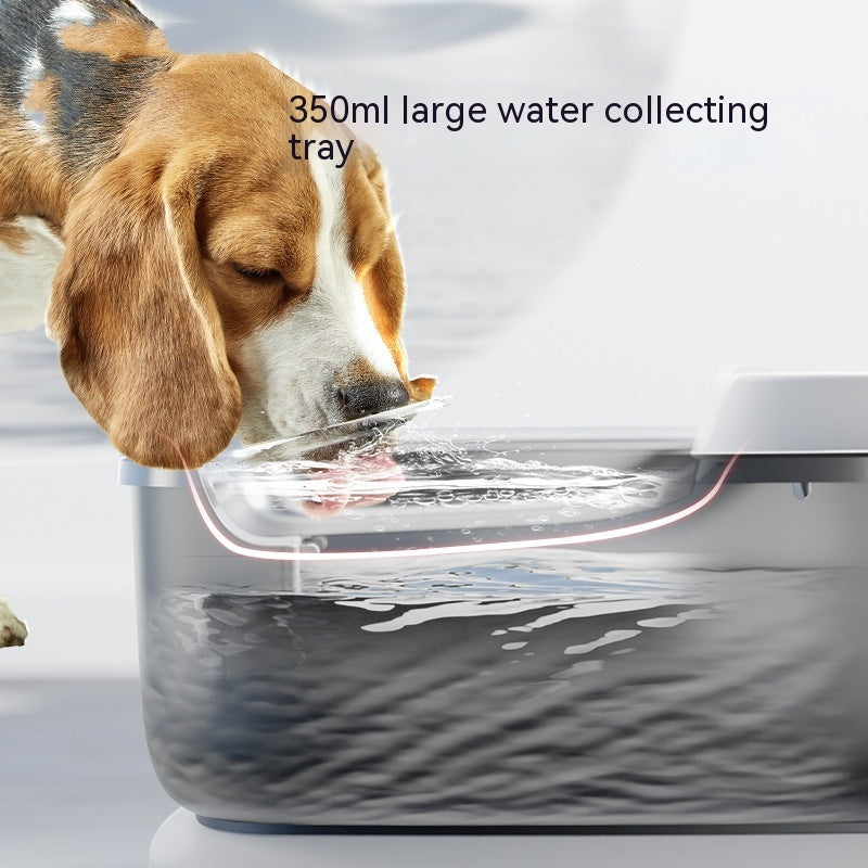 Chien buvant de l'eau dans un distributeur avec un plateau de collecte de 350ml, parfait pour animaux.