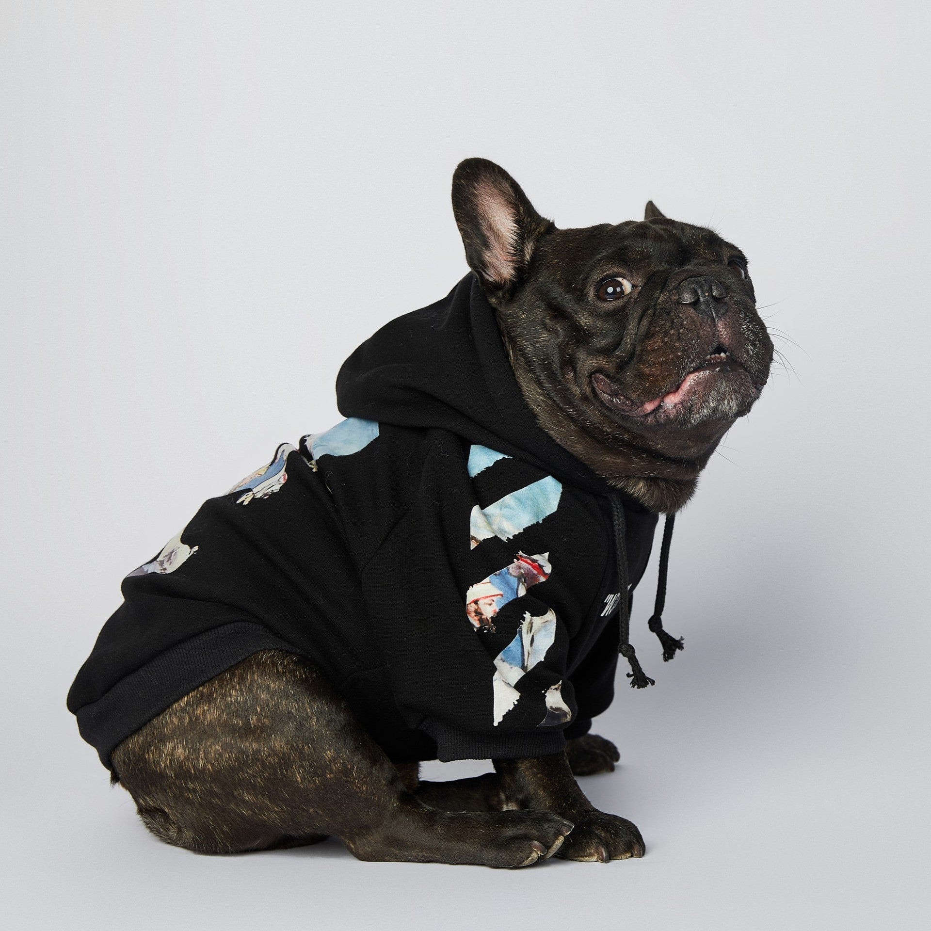 French Bulldog in stylish black hoodie dog clothes, showcasing trendy pet fashion.