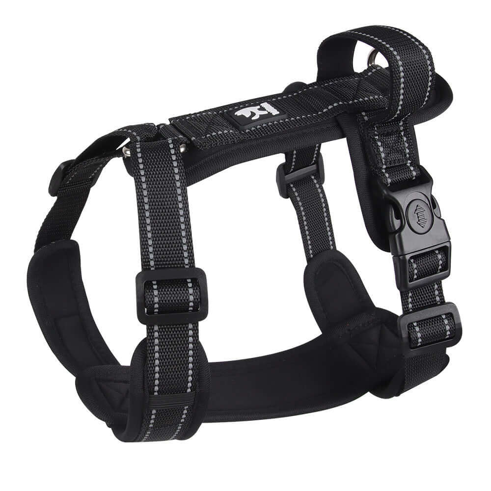 Harnais de sécurité pour chien en noir, conçu pour confort et sécurité lors des promenades.