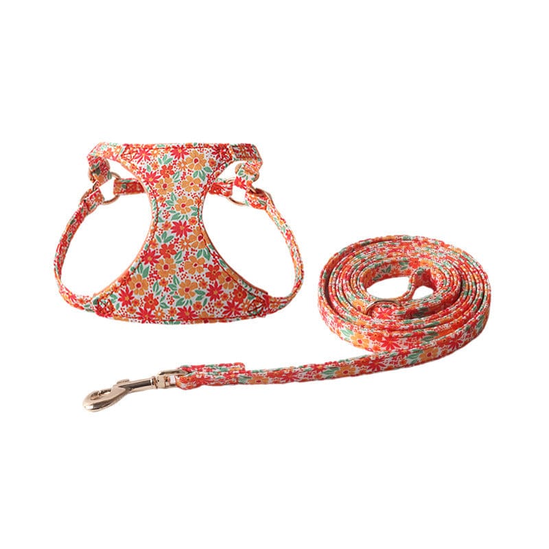 Harnais floral élégant pour animaux avec laisse assortie, coloris vibrant et motifs fleurs rouges.