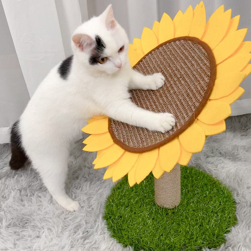 Chat jouant sur un arbre à gratter vertical en sisal en forme de tournesol, offrant un espace de grattage amusant.