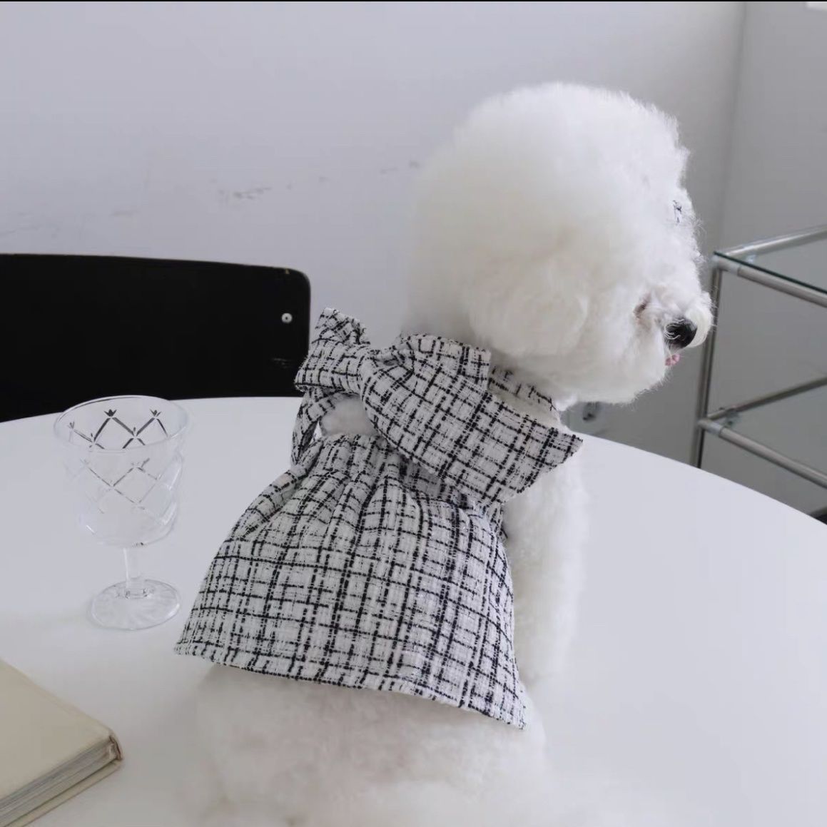Charming dog in a stylish black and white sling skirt, ideal pet clothing for elegant occasions.