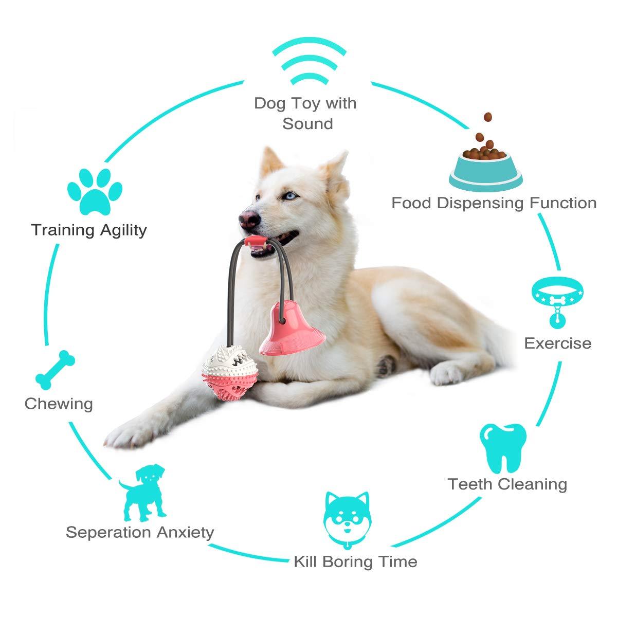 Jouet pour Chien Résistant avec Ventouse - Interaction et Stimulation