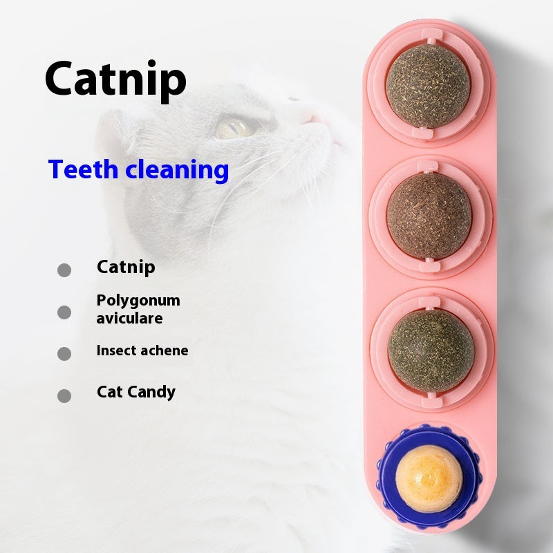 Balle en Herbe à Chat - Jouet Autonome