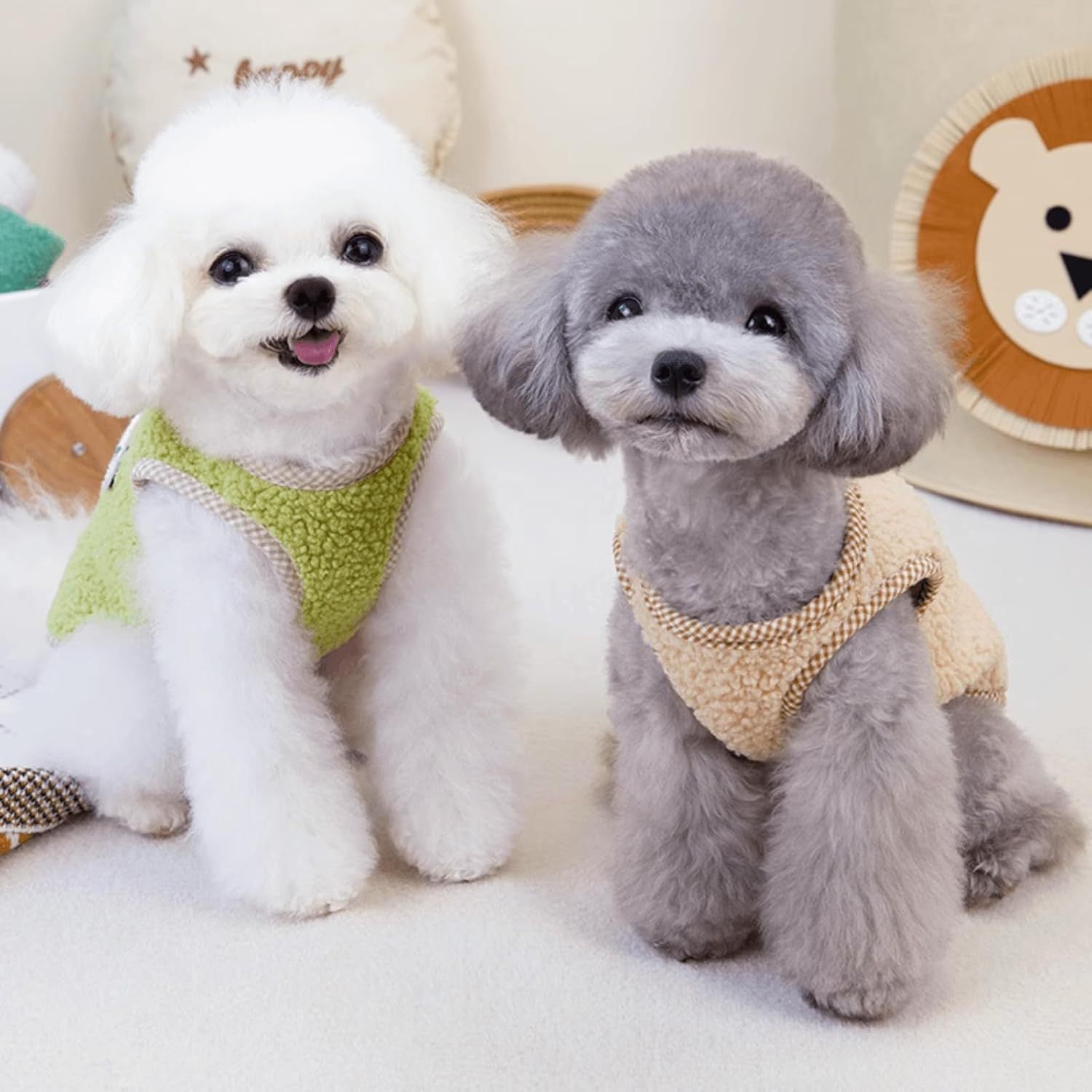 Deux chiens en gilet en polaire, l'un vert et l'autre beige, assis sur un tapis doux.