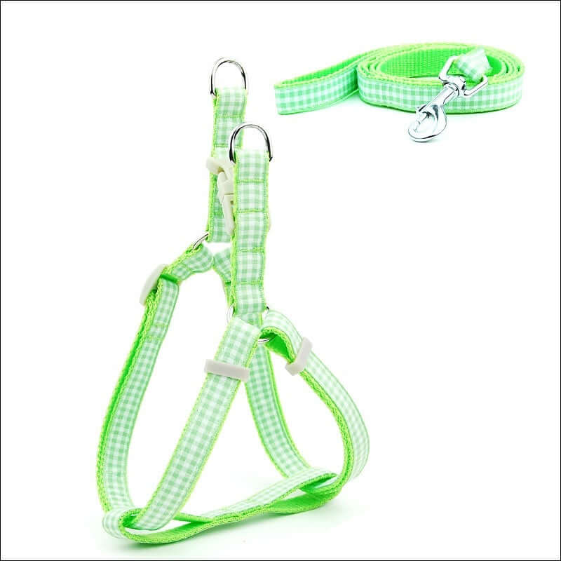 Harnais pour chien à carreaux vert avec laisse assortie, idéal pour le confort et la sécurité des animaux.