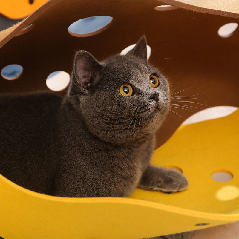 Tunnel pour Chats Totoro en Feutre