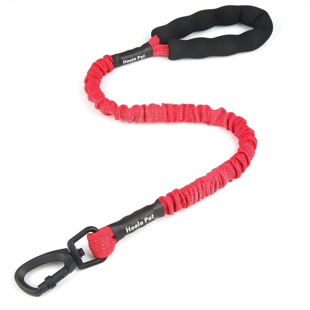 Corde de traction élastique rouge pour chien, idéale pour une promenade confortable et sécurisée.