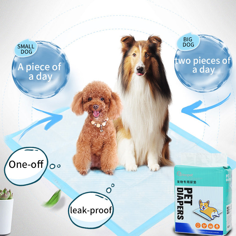 Tapis Hygiénique Absorbant pour Chiens
