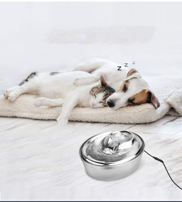 Distributeur d'eau en acier inoxydable pour animaux, avec un chien et un chat endormis à côté.