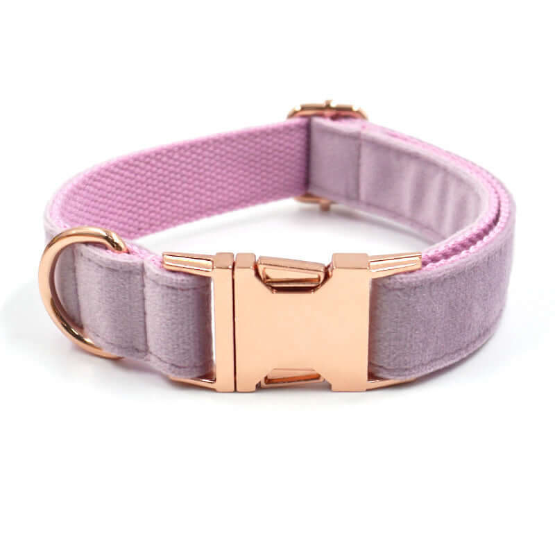 Collier en velours rose avec boucle en or, élégant et confortable pour chiens et chats.
