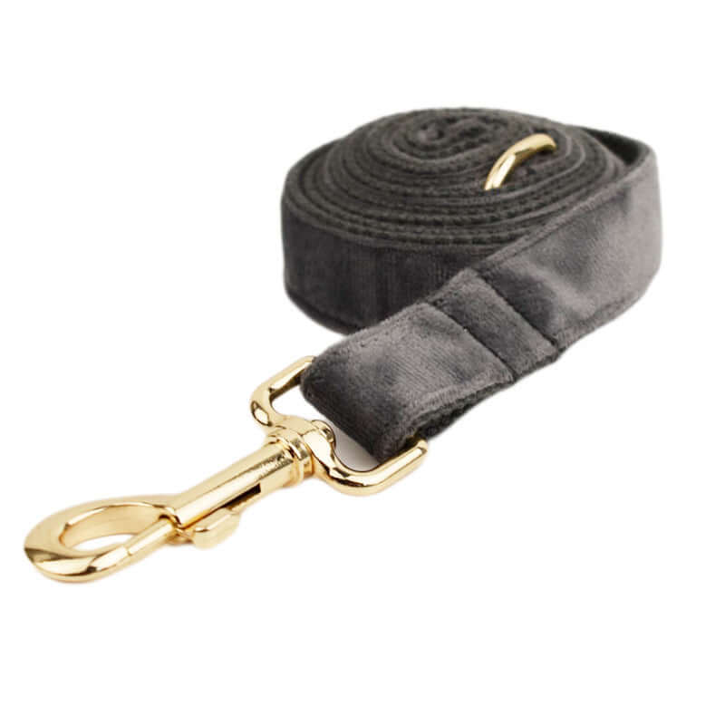 Collier en velours pour chien avec mousqueton doré, élégant et confortable pour les aventures de votre animal.