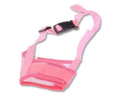 Harnais de sécurité rose en nylon pour chien, confortable et durable, idéal pour les promenades.
